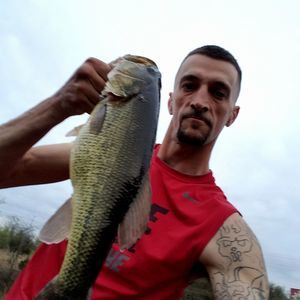 Meet your Posher, Greg